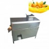 Mango Juice Machine