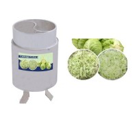 Cabbage Cutting Machine... Cabbage Cutting Machine...