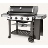 Gas Grill E 410