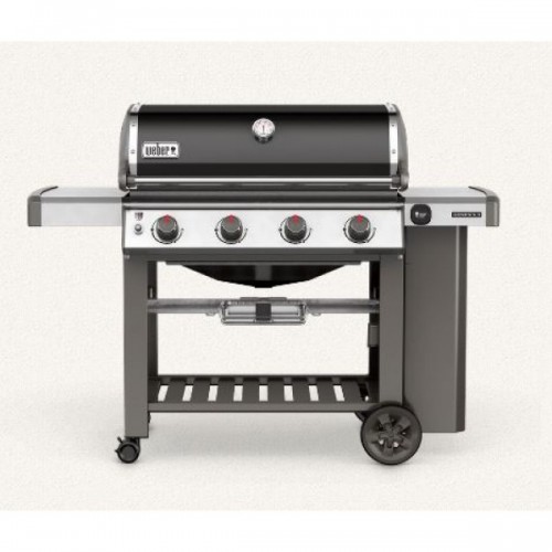 Gas Grill E 410